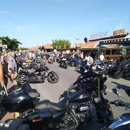 Apartment Le De Monta