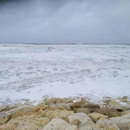 Apartment Le De Monta *