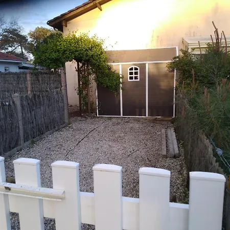 Le De Monta Apartment *