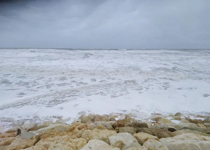 Appartamento Le De Monta *